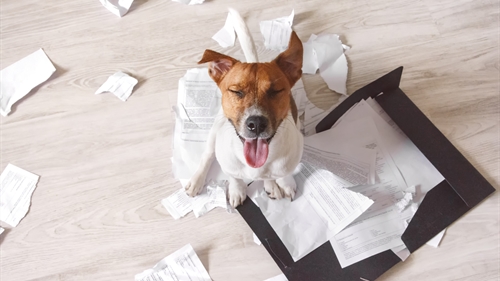Tame your paper clutter Tame your paper clutter