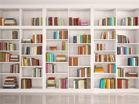 A home library organised on white box shelves with plenty of pleasing empty space